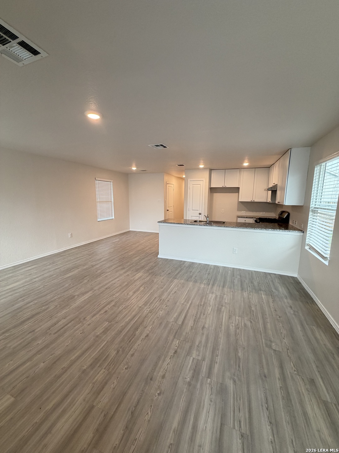 Living room and kitchen