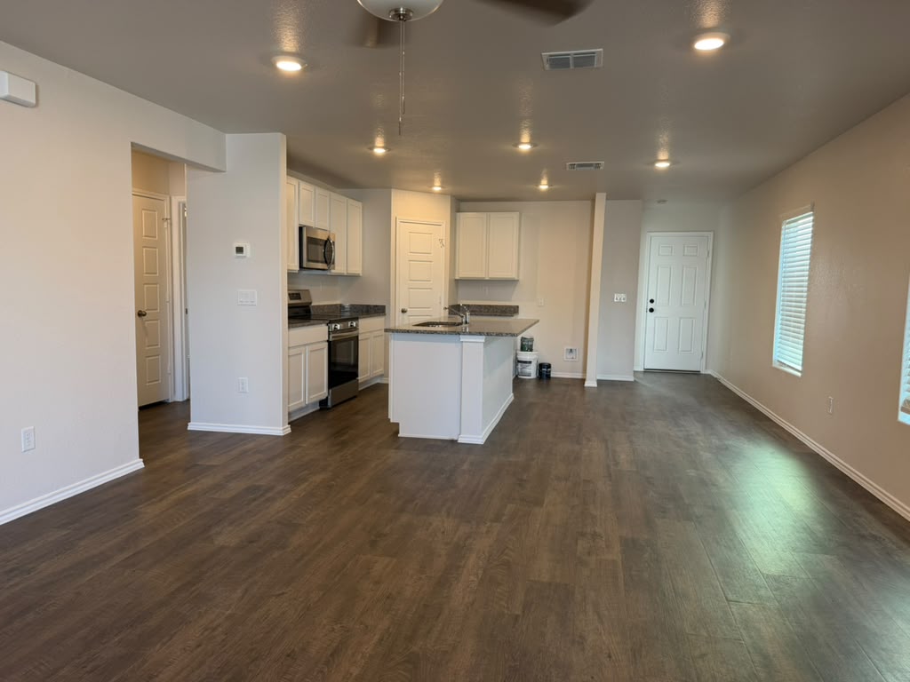Living room and kitchen
